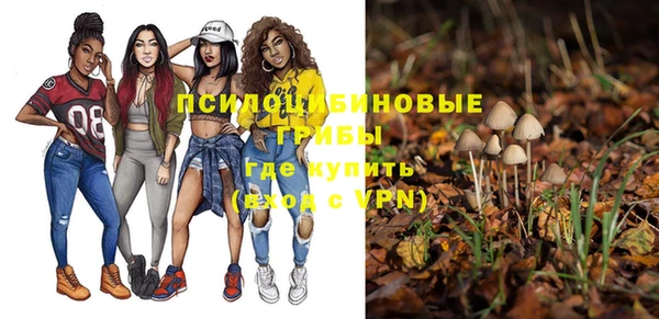 синтетический гашиш Алексеевка