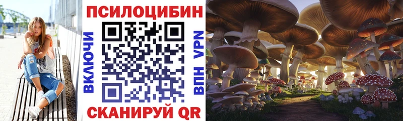 как найти наркотики площадка какой сайт Галлюциногенные грибы GOLDEN TEACHER Старый Оскол